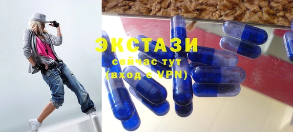 стаф Кулебаки