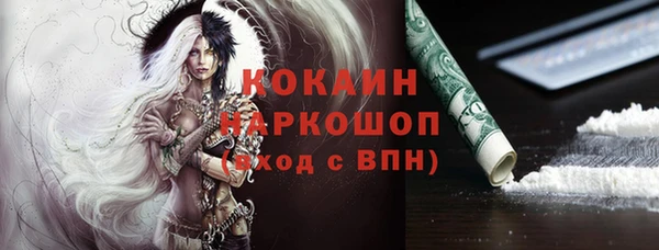 стаф Кулебаки