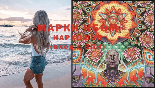 индика Куйбышев