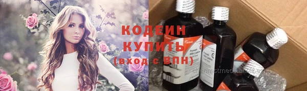 стаф Кулебаки