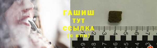 стаф Кулебаки