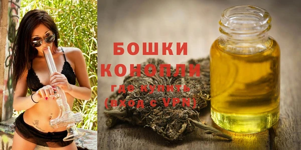 стаф Кулебаки