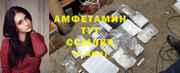 стаф Кулебаки