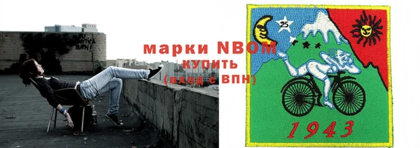 индика Куйбышев