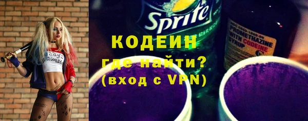 индика Куйбышев